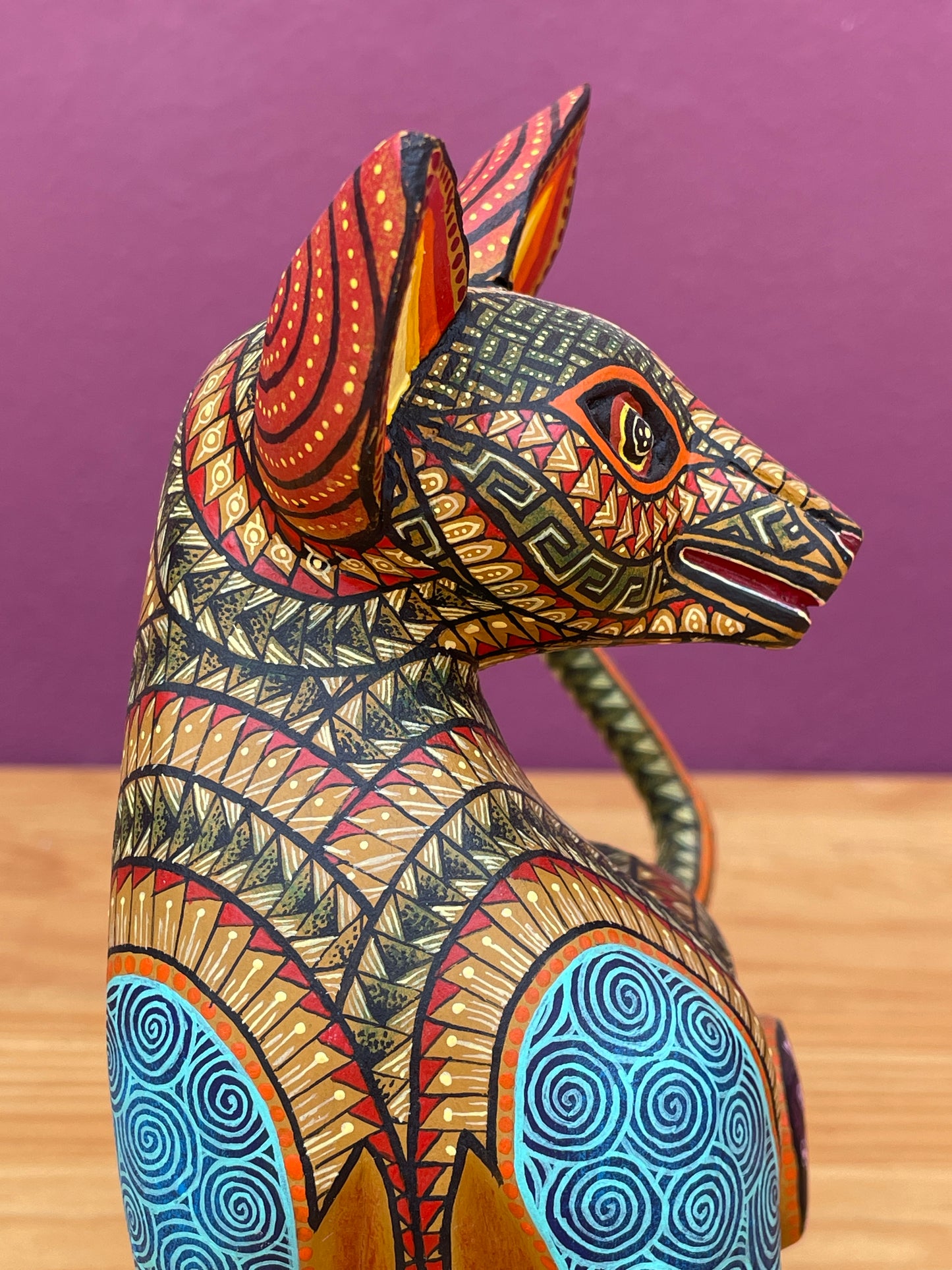 Gato